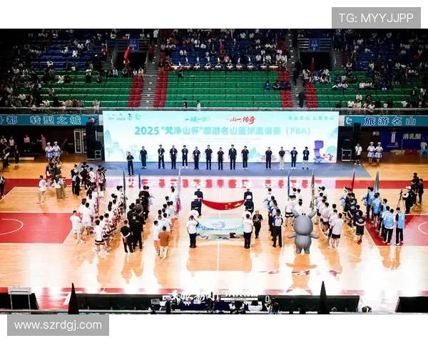 全球顶级体育赛事大揭秘 各大赛事背后的故事与魅力分析